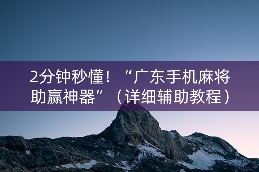 2分钟秒懂！“广东手机麻将助赢神器”（详细辅助教程）-哔哩哔哩