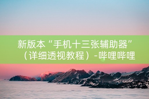 新版本“手机十三张辅助器”（详细透视教程）-哔哩哔哩