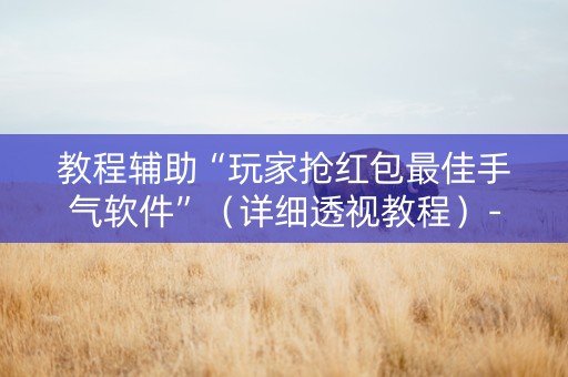 教程辅助“玩家抢红包最佳手气软件”（详细透视教程）-哔哩哔哩