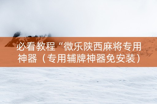 必看教程“微乐陕西麻将专用神器（专用辅牌神器免安装）