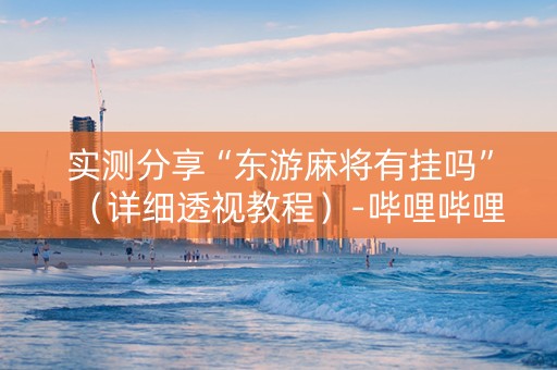 实测分享“东游麻将有挂吗”（详细透视教程）-哔哩哔哩