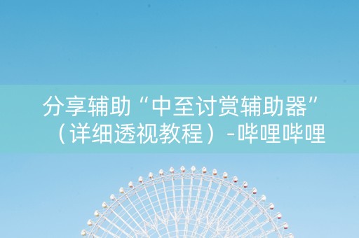 分享辅助“中至讨赏辅助器”（详细透视教程）-哔哩哔哩