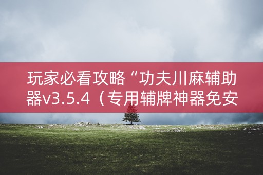 玩家必看攻略“功夫川麻辅助器v3.5.4（专用辅牌神器免安装）