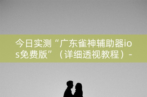 今日实测“广东雀神辅助器ios免费版”（详细透视教程）-哔哩哔哩
