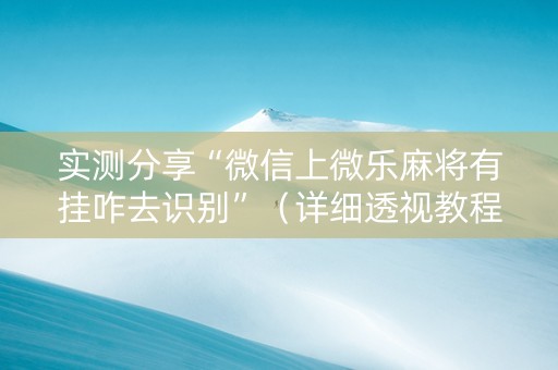 实测分享“微信上微乐麻将有挂咋去识别”（详细透视教程）-哔哩哔哩
