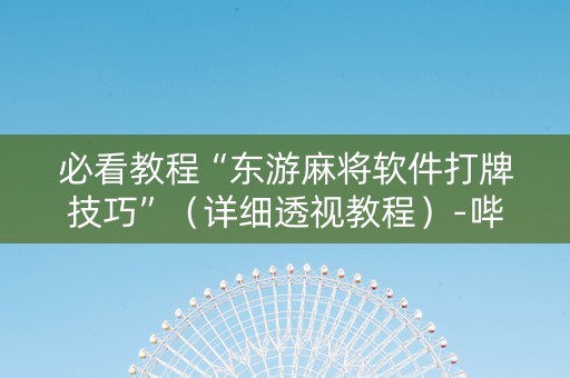 必看教程“东游麻将软件打牌技巧”（详细透视教程）-哔哩哔哩