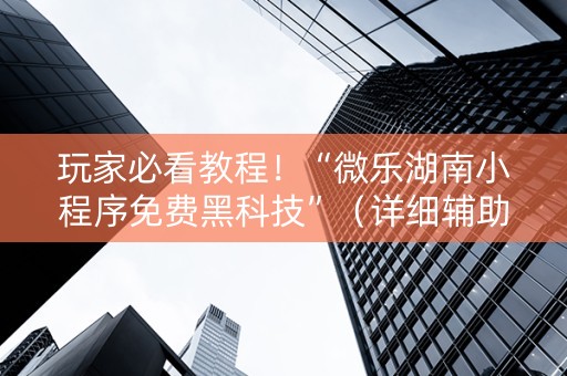 玩家必看教程！“微乐湖南小程序免费黑科技”（详细辅助教程）-哔哩哔哩