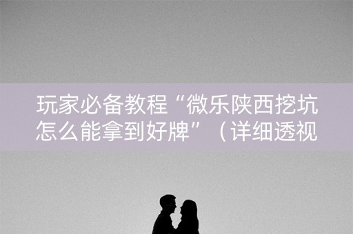 玩家必备教程“微乐陕西挖坑怎么能拿到好牌”（详细透视教程）-哔哩哔哩