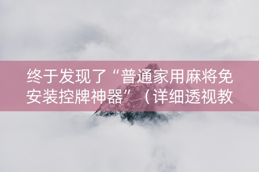 终于发现了“普通家用麻将免安装控牌神器”（详细透视教程）-哔哩哔哩