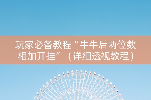 玩家必备教程“牛牛后两位数相加开挂”（详细透视教程）-哔哩哔哩