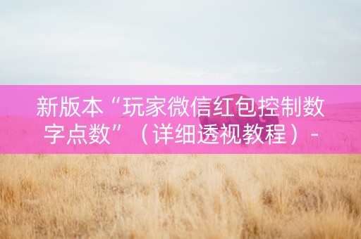 新版本“玩家微信红包控制数字点数”（详细透视教程）-哔哩哔哩