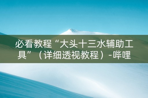 必看教程“大头十三水辅助工具”（详细透视教程）-哔哩哔哩