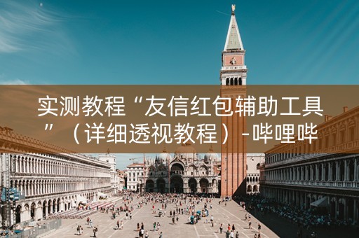 实测教程“友信红包辅助工具”（详细透视教程）-哔哩哔哩