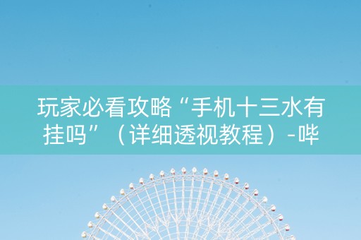 玩家必看攻略“手机十三水有挂吗”（详细透视教程）-哔哩哔哩