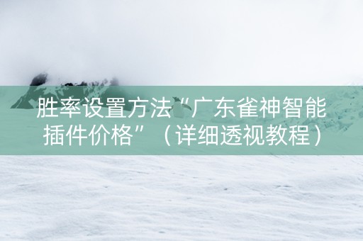胜率设置方法“广东雀神智能插件价格”（详细透视教程）-哔哩哔哩