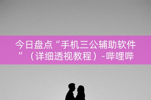 今日盘点“手机三公辅助软件”（详细透视教程）-哔哩哔哩