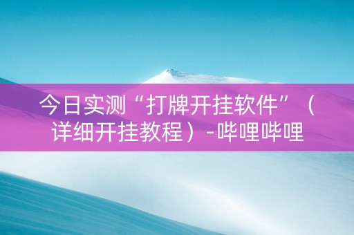 今日实测“打牌开挂软件”（详细开挂教程）-哔哩哔哩