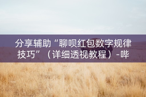 分享辅助“聊呗红包数字规律技巧”（详细透视教程）-哔哩哔哩