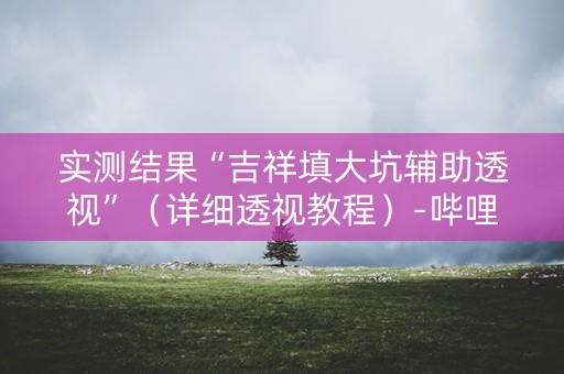 实测结果“吉祥填大坑辅助透视”（详细透视教程）-哔哩哔哩