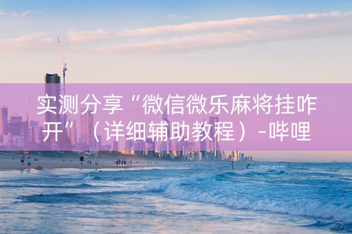实测分享“微信微乐麻将挂咋开”（详细辅助教程）-哔哩哔哩
