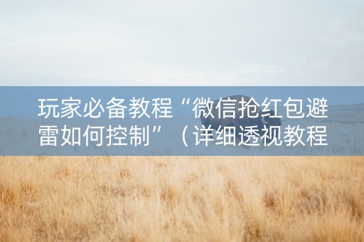 玩家必备教程“微信抢红包避雷如何控制”（详细透视教程）-哔哩哔哩