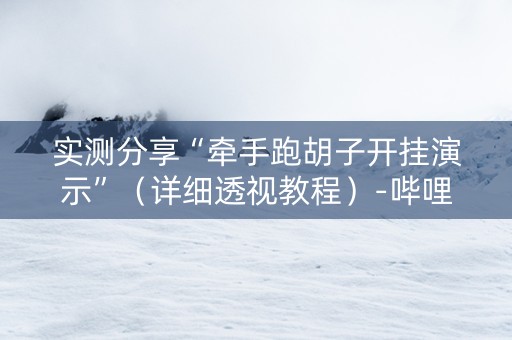 实测分享“牵手跑胡子开挂演示”（详细透视教程）-哔哩哔哩