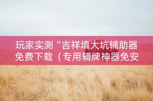玩家实测“吉祥填大坑辅助器免费下载（专用辅牌神器免安装）