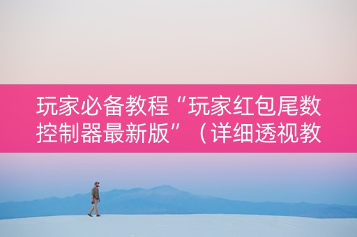 玩家必备教程“玩家红包尾数控制器最新版”（详细透视教程）-哔哩哔哩