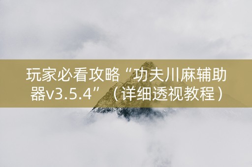 玩家必看攻略“功夫川麻辅助器v3.5.4”（详细透视教程）-哔哩哔哩