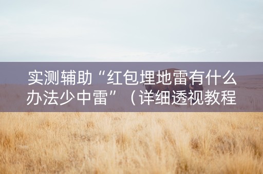 实测辅助“红包埋地雷有什么办法少中雷”（详细透视教程）-哔哩哔哩
