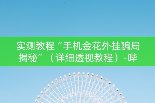 实测教程“手机金花外挂骗局揭秘”（详细透视教程）-哔哩哔哩