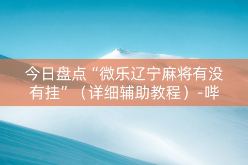 今日盘点“微乐辽宁麻将有没有挂”（详细辅助教程）-哔哩哔哩