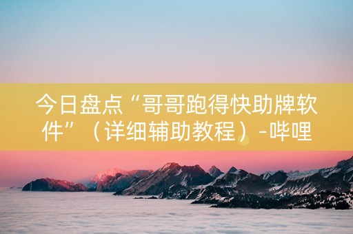 今日盘点“哥哥跑得快助牌软件”（详细辅助教程）-哔哩哔哩