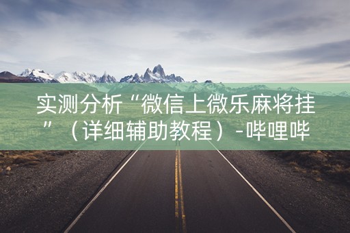 实测分析“微信上微乐麻将挂”（详细辅助教程）-哔哩哔哩