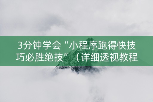 3分钟学会“小程序跑得快技巧必胜绝技”（详细透视教程）-哔哩哔哩