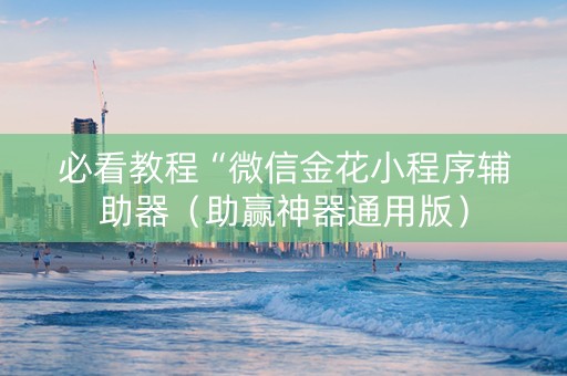 必看教程“微信金花小程序辅助器（助赢神器通用版）
