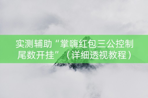 实测辅助“掌嗨红包三公控制尾数开挂”（详细透视教程）-哔哩哔哩