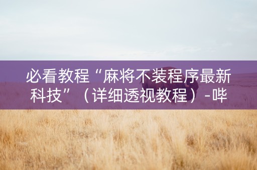 必看教程“麻将不装程序最新科技”（详细透视教程）-哔哩哔哩