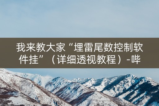 我来教大家“埋雷尾数控制软件挂”（详细透视教程）-哔哩哔哩