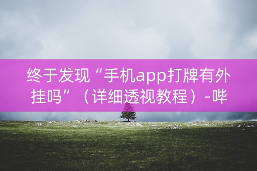 终于发现“手机app打牌有外挂吗”（详细透视教程）-哔哩哔哩