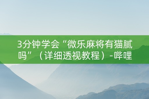 3分钟学会“微乐麻将有猫腻吗”（详细透视教程）-哔哩哔哩