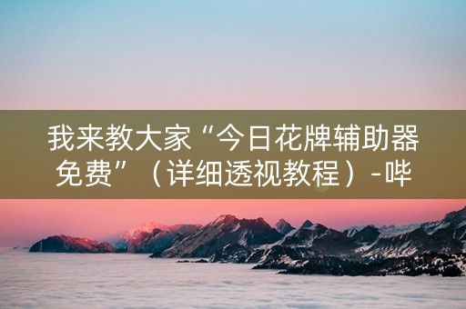 我来教大家“今日花牌辅助器免费”（详细透视教程）-哔哩哔哩