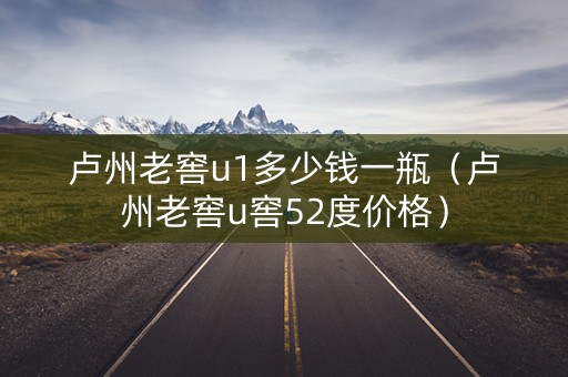 卢州老窖u1多少钱一瓶（卢州老窖u窖52度价格）