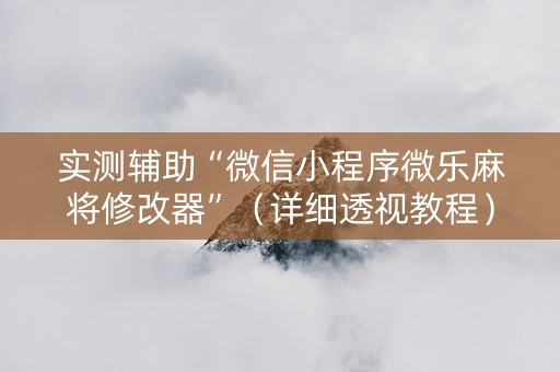 实测辅助“微信小程序微乐麻将修改器”（详细透视教程）-哔哩哔哩
