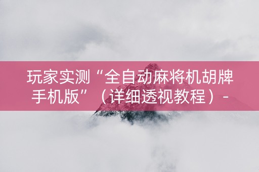 玩家实测“全自动麻将机胡牌手机版”（详细透视教程）-哔哩哔哩