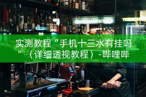 实测教程“手机十三水有挂吗”（详细透视教程）-哔哩哔哩