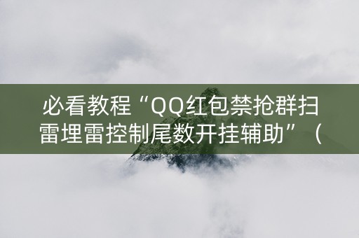 必看教程“QQ红包禁抢群扫雷埋雷控制尾数开挂辅助”（详细透视教程）-哔哩哔哩