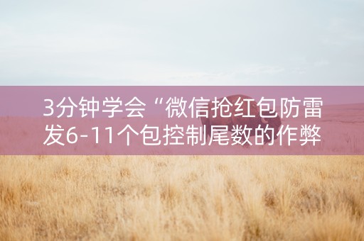 3分钟学会“微信抢红包防雷发6-11个包控制尾数的作弊软件”（详细透视教程）-哔哩哔哩