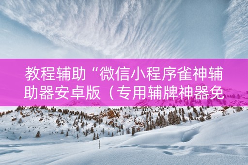 教程辅助“微信小程序雀神辅助器安卓版（专用辅牌神器免安装）