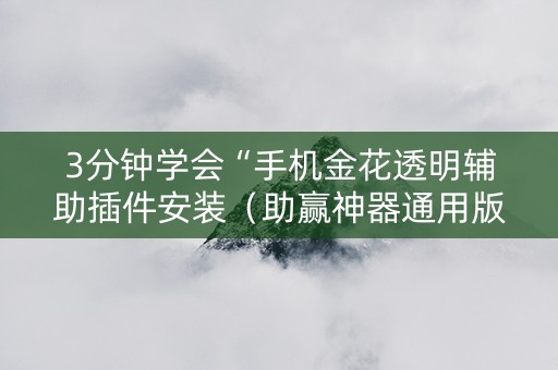 3分钟学会“手机金花透明辅助插件安装（助赢神器通用版）